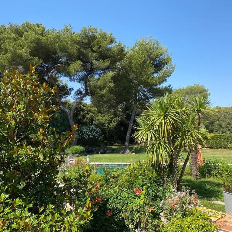 Magnifique Villa Nice - Villefranche - Villa - 44