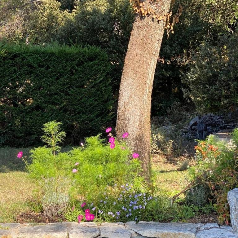 Magnifique Villa Nice - Villefranche - Villa - 54