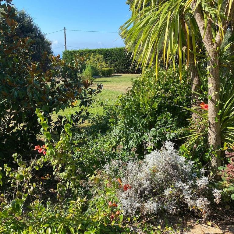 Magnifique Villa Nice - Villefranche - Villa - 55