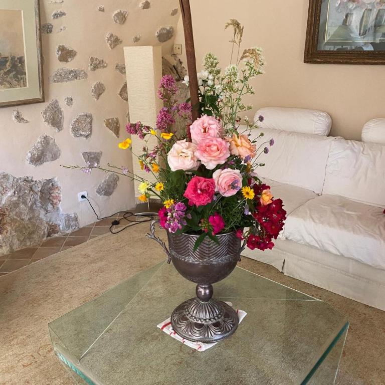 Magnifique Villa Nice - Villefranche - Villa - 58