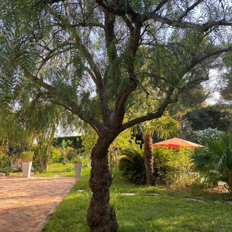 Magnifique Villa Nice - Villefranche - Villa - 61
