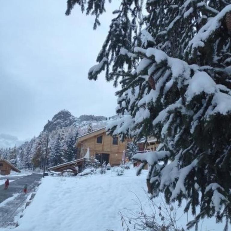 Chalet familial 3 chambres Jardin 600 m Vars - Chalet - 25