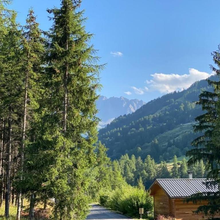 Chalet familial 3 chambres Jardin 600 m Vars - Chalet - 55
