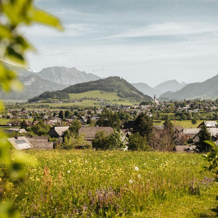 Landhaus Stieglschuster, middle of 5-Skiarea & mountain view 360 - Apartment mit Blick auf die Berge - 9