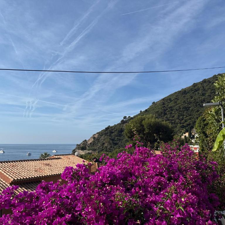 PetitEze - Villa con vistas al mar - 19