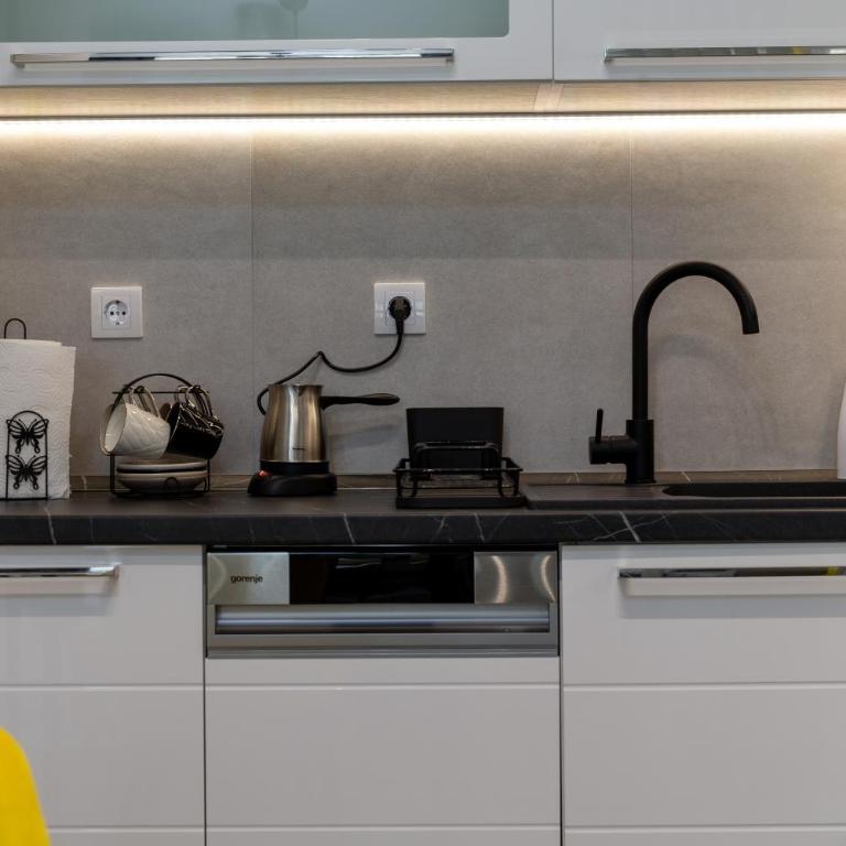 The Golden Sixth, Garden View Niš, Planet Residence Free Parking - Apartman sa 1 Spavaćom Sobom - 46