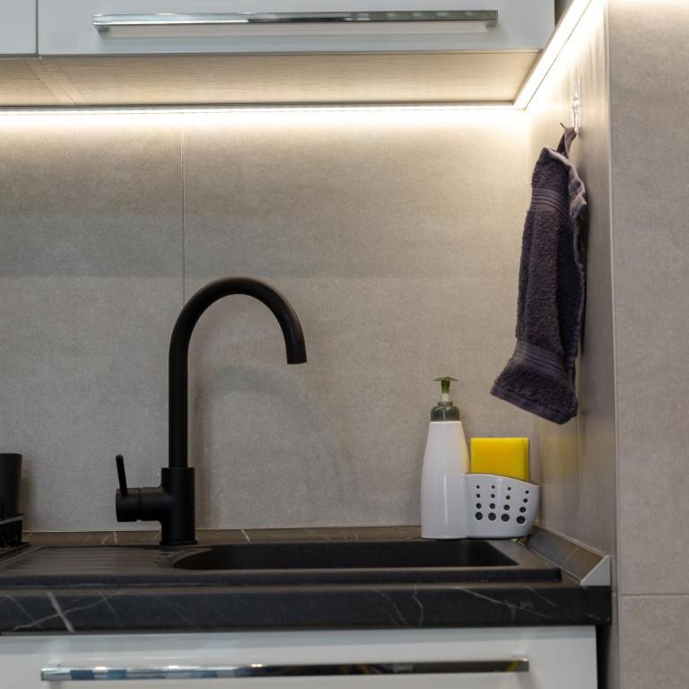 The Golden Sixth, Garden View Niš, Planet Residence Free Parking - Apartman sa 1 Spavaćom Sobom - 49