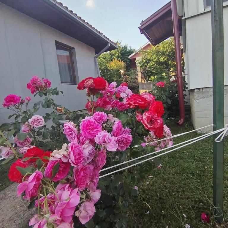 ꕤ Comfy Home ꕤ - Make yourself at home - Villa mit 1 Schlafzimmer - 4