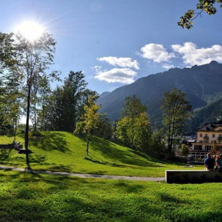 Plein centre vue Mont-Blanc Parking - Appartement - 22