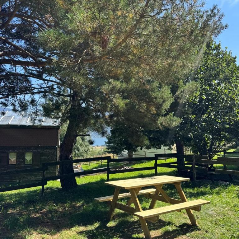 Joli chalet à 2 min des pistes, 5 min du coeur du village, parking privé, tout à pied - Chalet - 1
