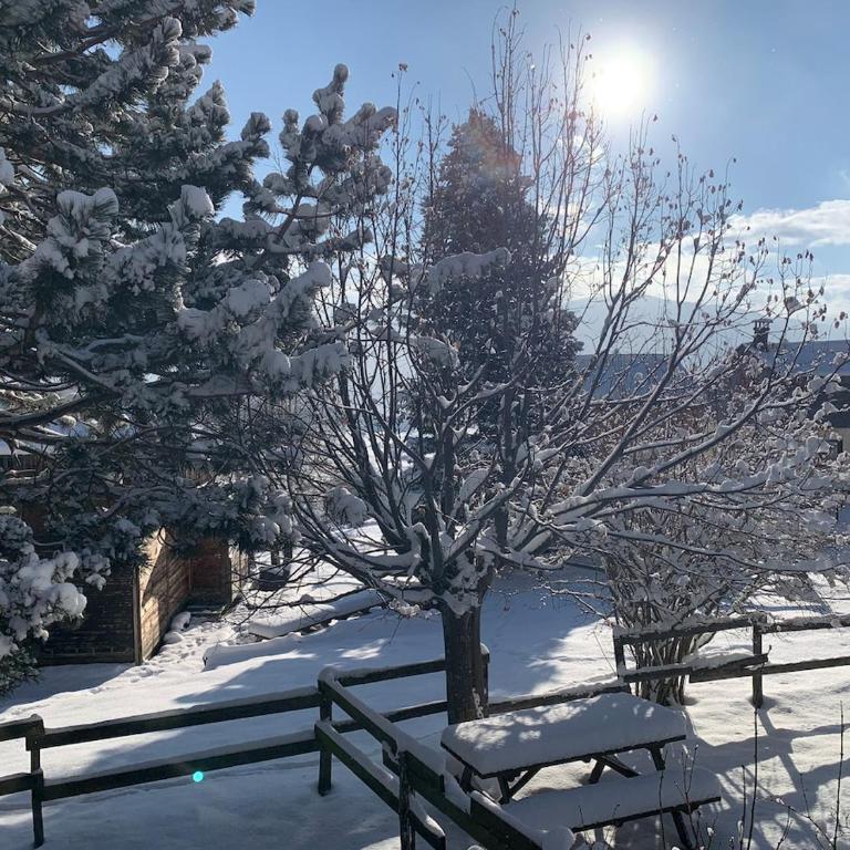 Joli chalet à 2 min des pistes, 5 min du coeur du village, parking privé, tout à pied - Chalet - 21