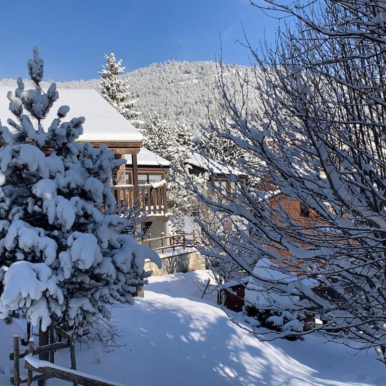 Joli chalet à 2 min des pistes, 5 min du coeur du village, parking privé, tout à pied - Chalet - 37