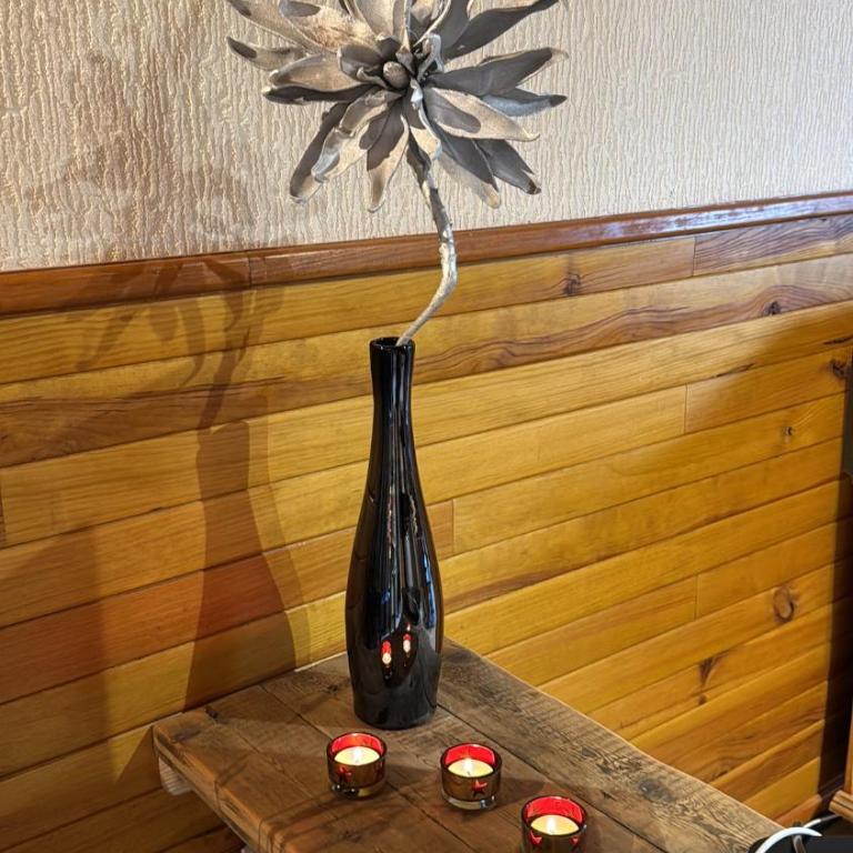 Joli chalet à 2 min des pistes, 5 min du coeur du village, parking privé, tout à pied - Chalet - 20
