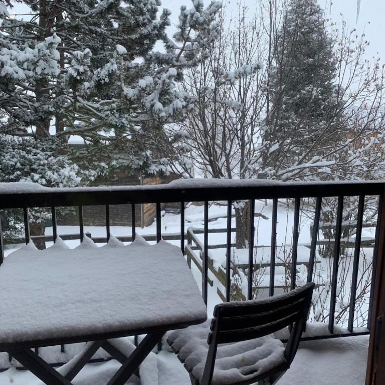 Joli chalet à 2 min des pistes, 5 min du coeur du village, parking privé, tout à pied - Chalet - 24