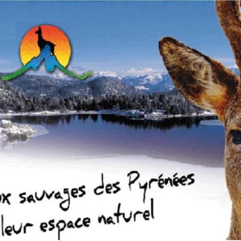 Joli chalet à 2 min des pistes, 5 min du coeur du village, parking privé, tout à pied - Chalet - 25