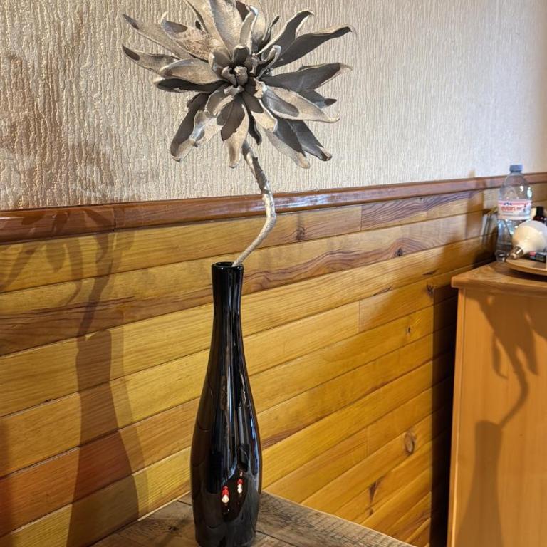Joli chalet à 2 min des pistes, 5 min du coeur du village, parking privé, tout à pied - Chalet - 29