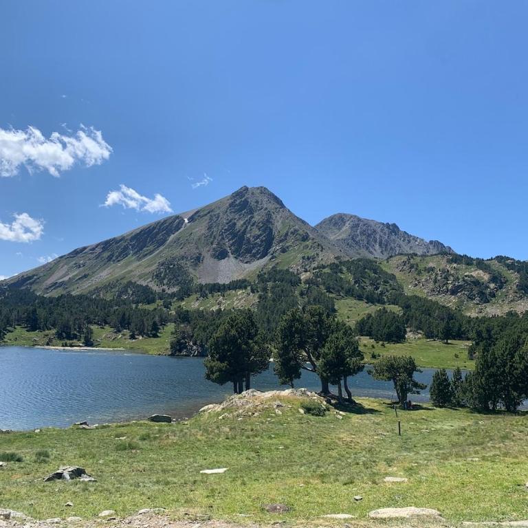 Joli chalet à 2 min des pistes, 5 min du coeur du village, parking privé, tout à pied - Chalet - 41