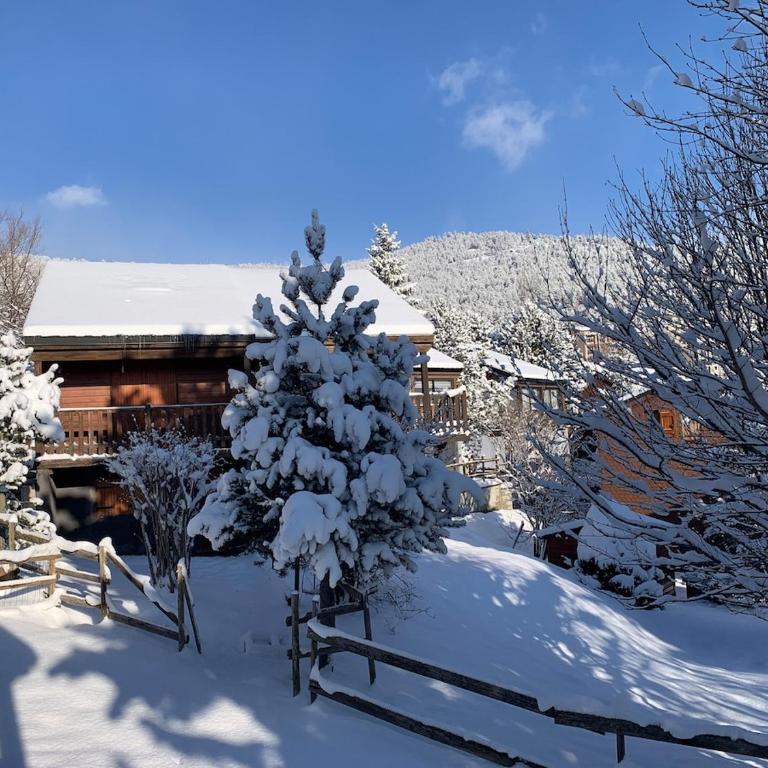 Joli chalet à 2 min des pistes, 5 min du coeur du village, parking privé, tout à pied - Chalet - 43