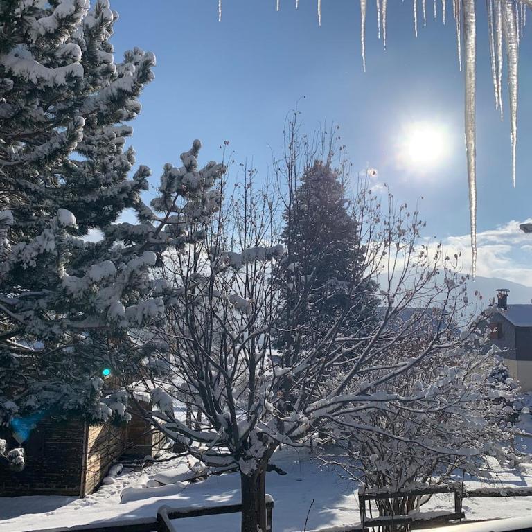 Joli chalet à 2 min des pistes, 5 min du coeur du village, parking privé, tout à pied - Chalet - 44