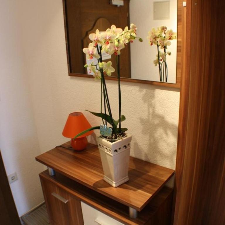 Appartments Tischner - Apartamento - 4