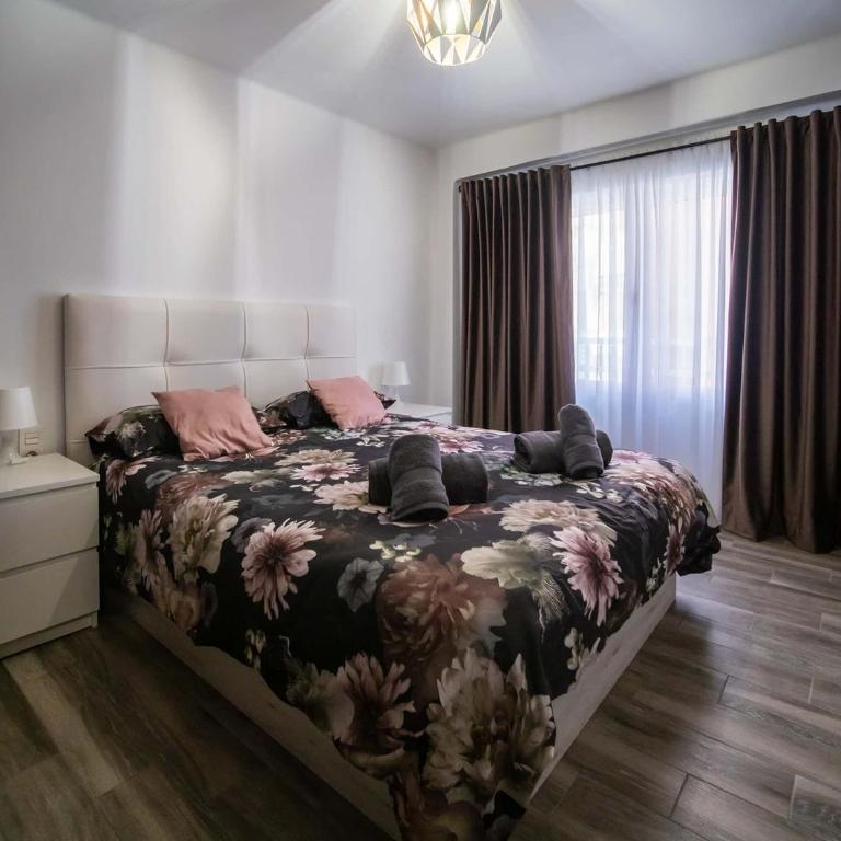Spacest - Carretera d'Escrivà B - Apartment - 6
