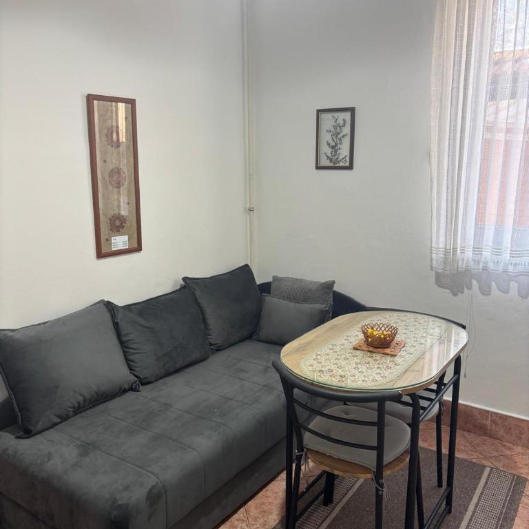 Kaya Apartments - Apartman sa Terasom - 5