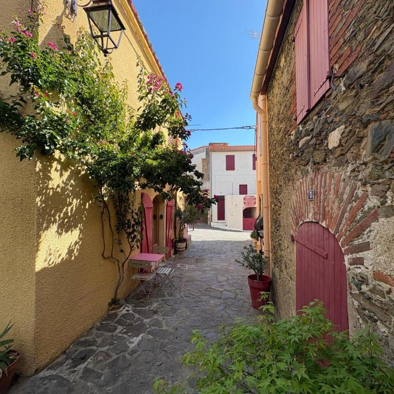 Wifi atypique Appartement Vieux Banyuls sur Mer - One-Bedroom Apartment - 9