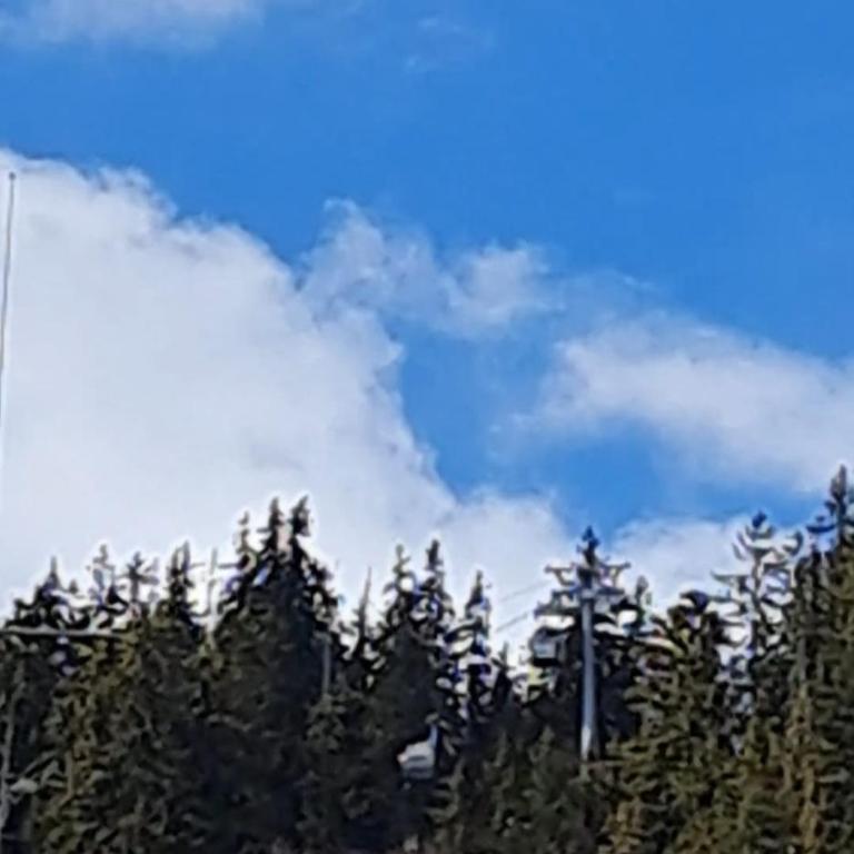 Super OFFRE à Viva Crans Montana - Appartement 2 Chambres avec Balcon et Terrasse - 23