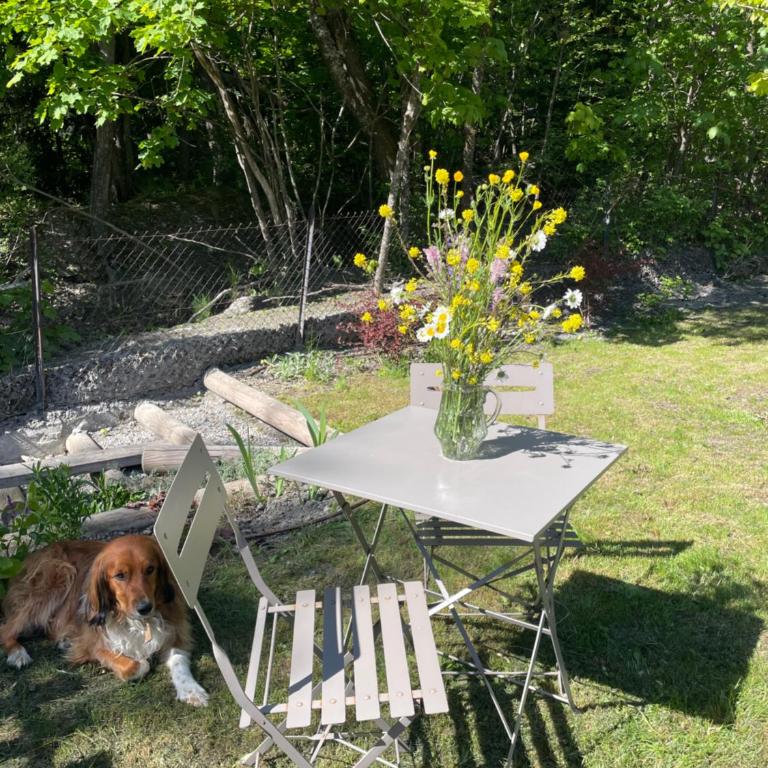 le chalet de st Anne - Maison de Vacances 4 Chambres - 22