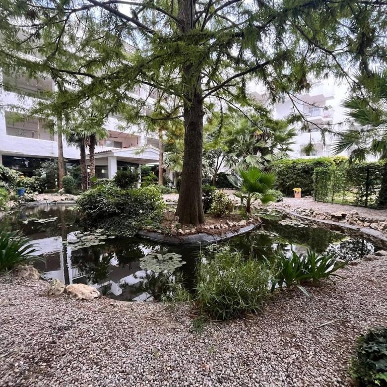 Ground floor with pool Roses Santa Margarita - One-Bedroom Apartment - 19