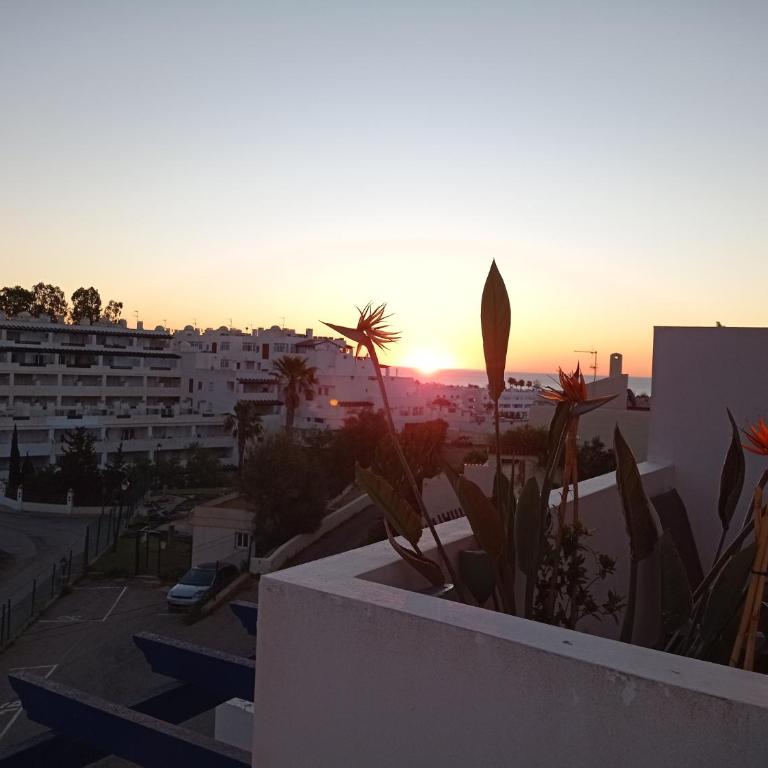 La Solana - Apartment mit 2 Schlafzimmern - 5