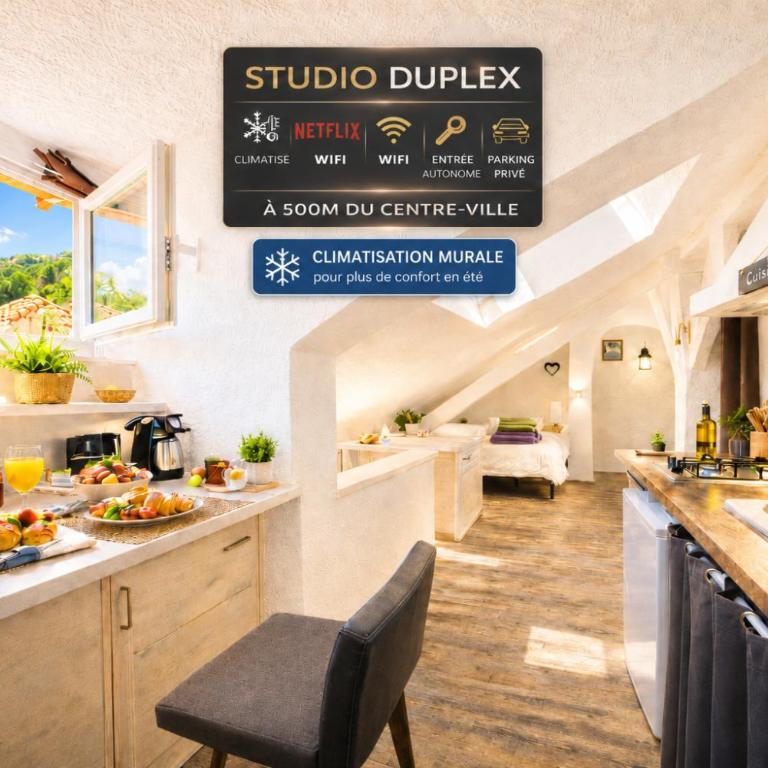 Studio duplex atypique CLIMATISATION, parking, lit double, Netflix, 500m centre - Gîtes La Tarine - LABEL GÎTE DE FRANCE - Appartamento Monolocale - 1