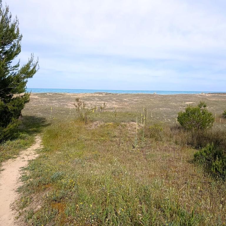 Casa al mare Vasto marina - One-Bedroom Apartment with Terrace - 29