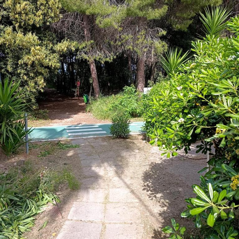 Casa al mare Vasto marina - One-Bedroom Apartment with Terrace - 34