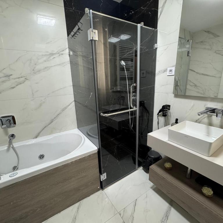 FIRST CLASS Apartments Zlatibor 2 - One-Bedroom Apartment with Terrace - 12