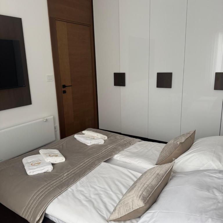 FIRST CLASS Apartments Zlatibor 2 - One-Bedroom Apartment with Terrace - 30
