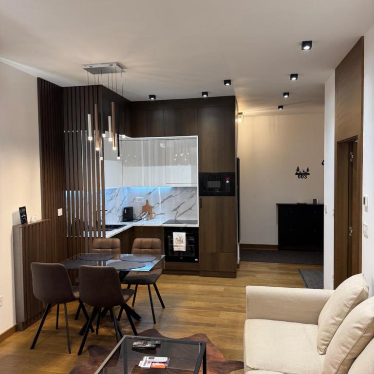 FIRST CLASS Apartments Zlatibor 2 - One-Bedroom Apartment with Terrace - 3