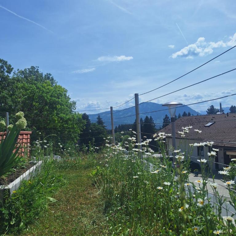 Loft 31 - Modernes Apartment mit Sonnenterasse und Bergblick - Apartment mit 1 Schlafzimmer - 2