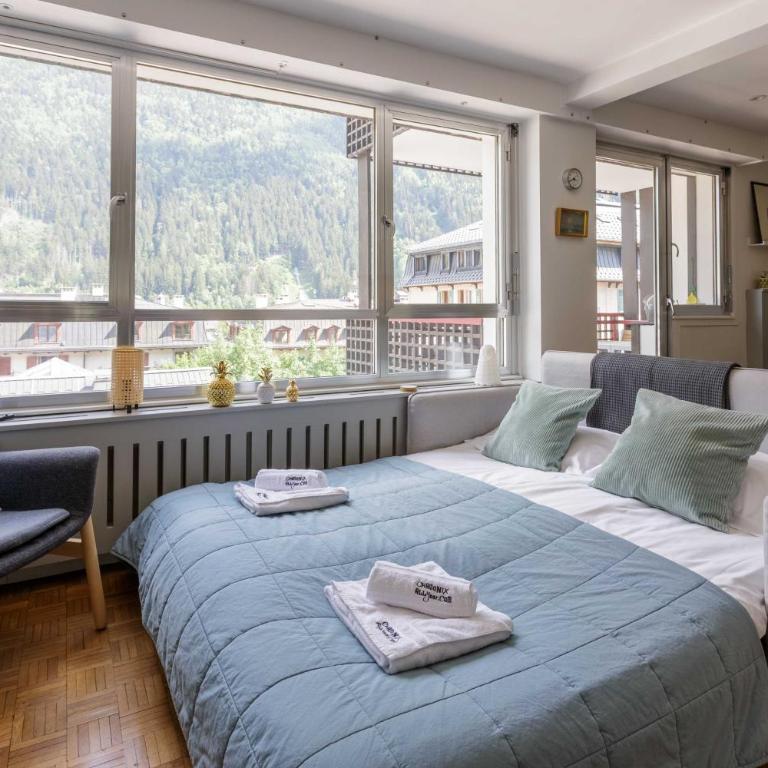 Concordia 27 Apartment - Chamonix All Year - Apartment - 16