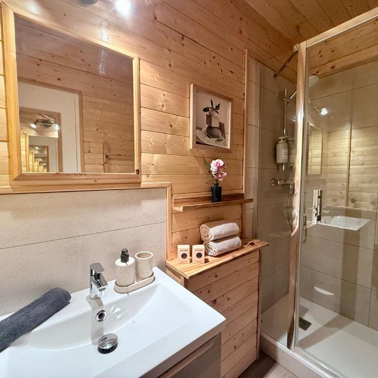 Le Petit Chamois pied des pistes - Appartement 1 Chambre - 5