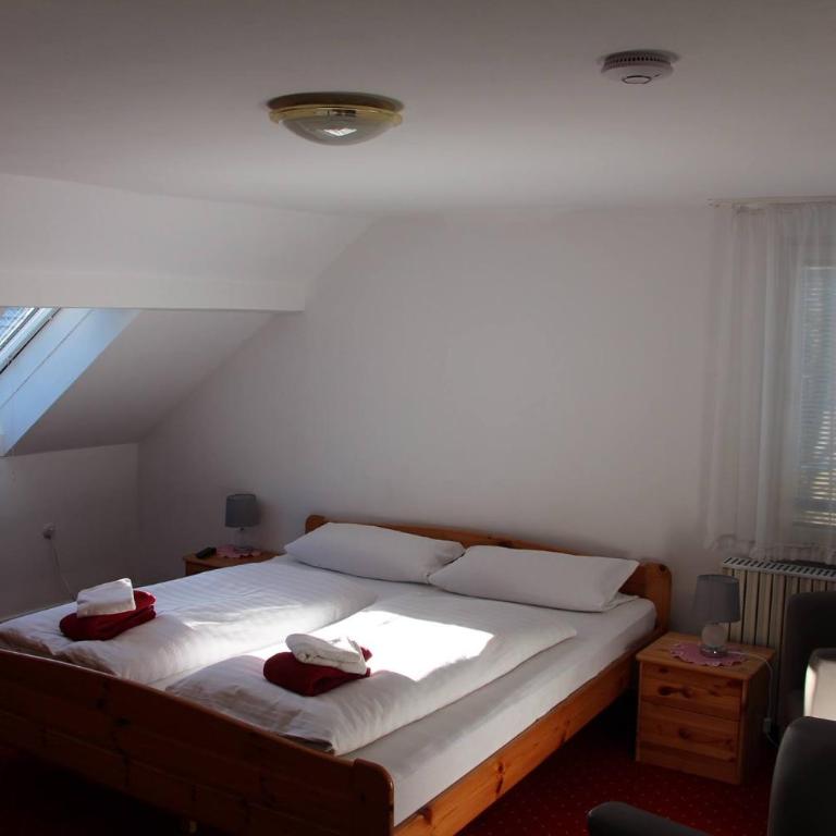 Romantic-Pension Albrecht - Villa next to UNESCO World Heritage - since 1901 - Doppelzimmer - Dachgeschoss - Blick aufs Schloss Hohenschwangau - 1