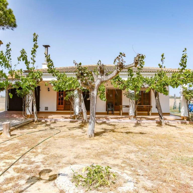 Pagall - Casa rural con piscina privada y cerca la playa de Riumar - Deltavacaciones - Ferienhaus - 3