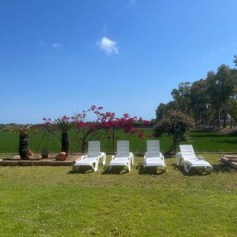 Pagall - Casa rural con piscina privada y cerca la playa de Riumar - Deltavacaciones - Ferienhaus - 23