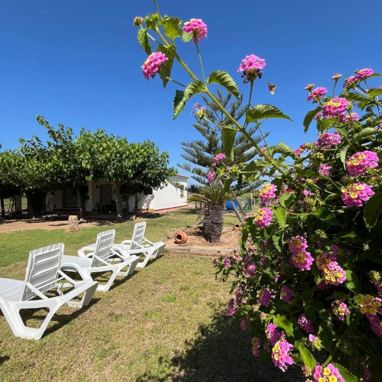 Pagall - Casa rural con piscina privada y cerca la playa de Riumar - Deltavacaciones - Ferienhaus - 25