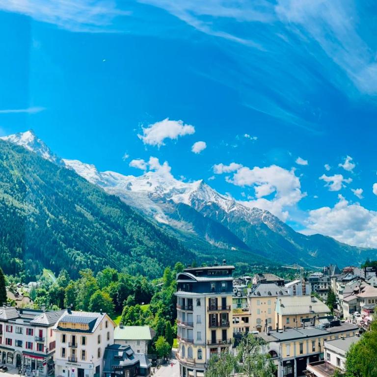 Plein centre vue Mont-Blanc Parking - Appartement - 35