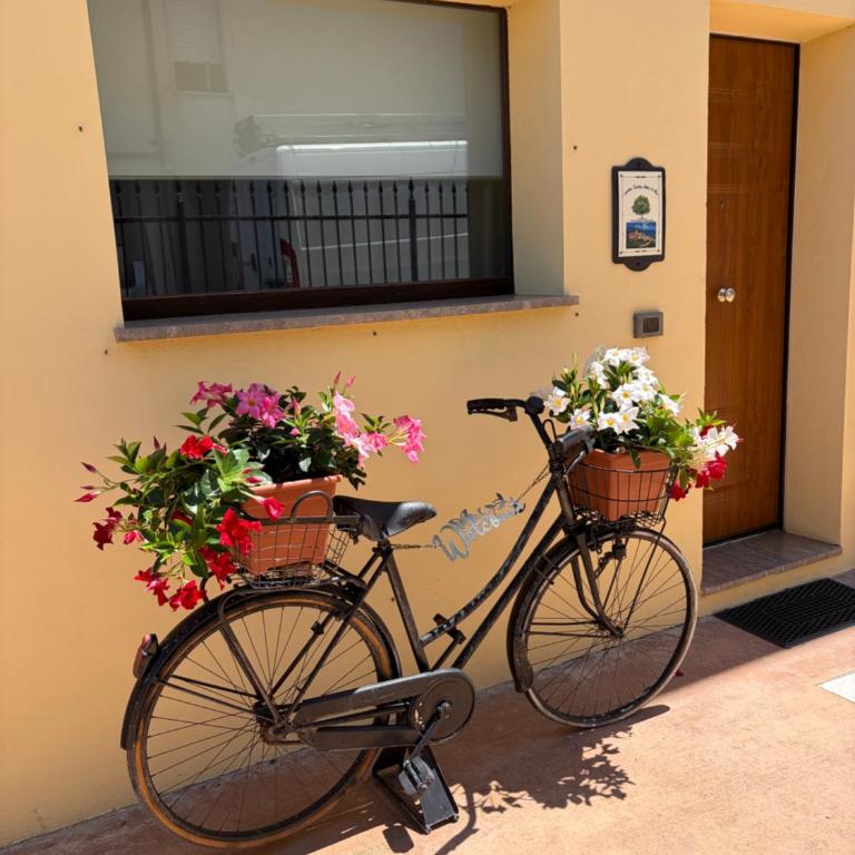 Assisi, la Noce - Appartamento con 1 Camera da Letto - 42