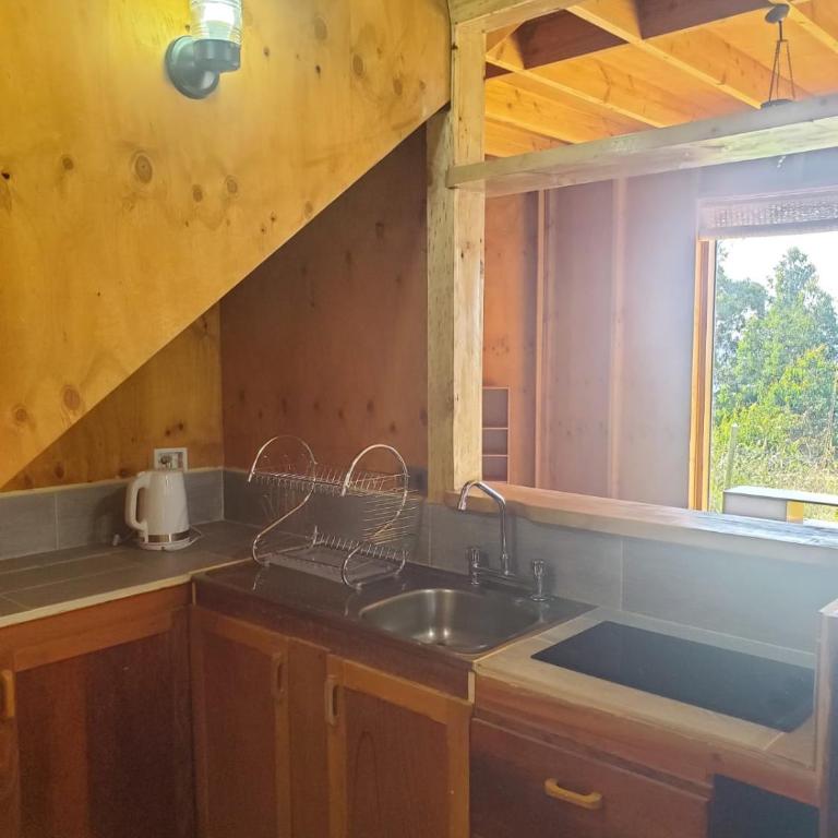 Cabin Puerto Varas lake view and tinaja - Casa de 2 dormitorios - 2