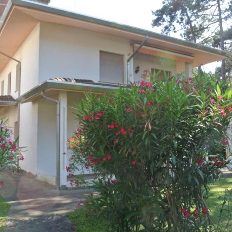 Practical stay in Lignano with parking - Apartment - 8