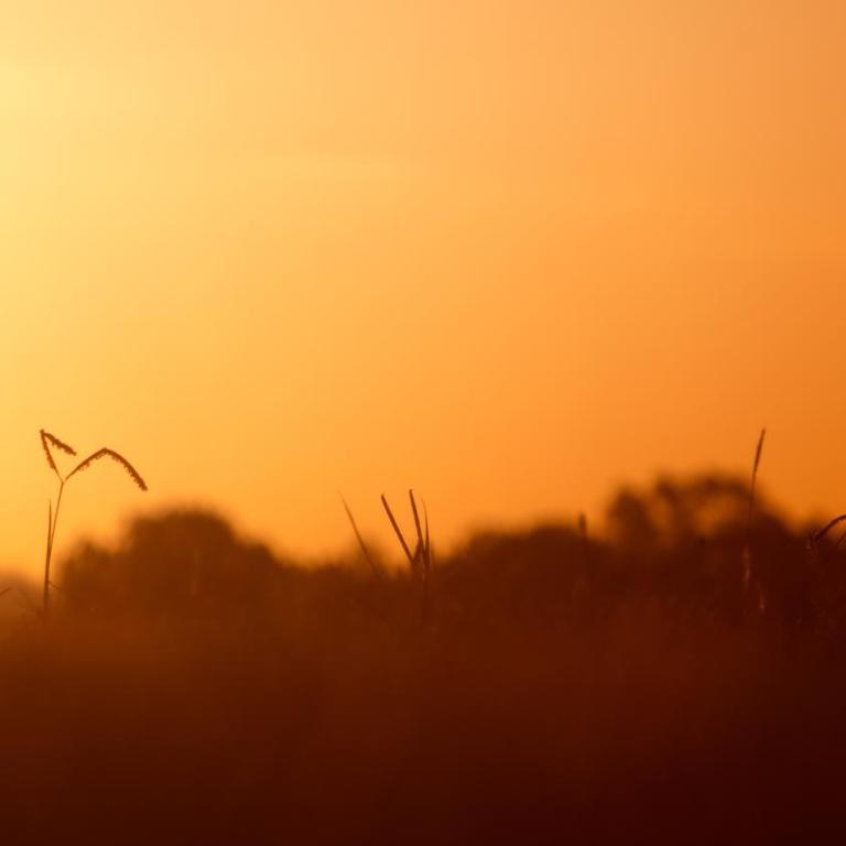 Las Martinas - Chalet - 22