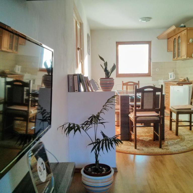 Apartment near the Airport - Apartman - Prizemlje - 22